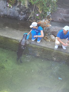 下田海中水族館に投稿された画像（2024/8/10）