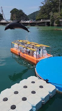 下田海中水族館に投稿された画像（2024/8/10）