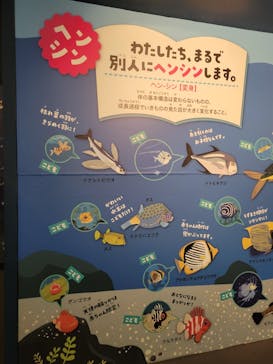 下田海中水族館に投稿された画像（2024/8/10）