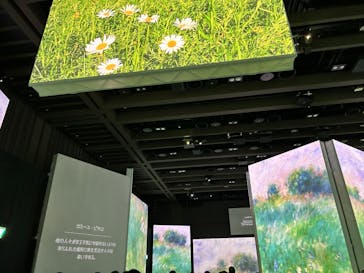 モネ＆フレンズ・アライブに投稿された画像（2024/8/10）