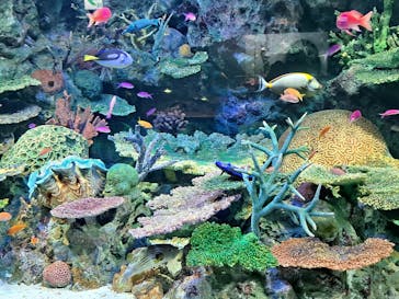 サンシャイン水族館に投稿された画像（2024/8/10）