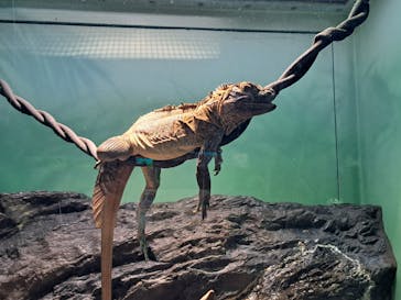 サンシャイン水族館に投稿された画像（2024/8/10）
