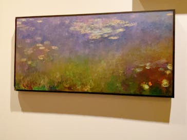 モネ＆フレンズ・アライブに投稿された画像（2024/8/10）