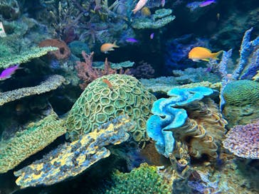 サンシャイン水族館に投稿された画像（2024/8/10）