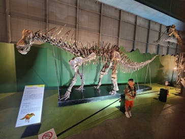 巨大恐竜展2024に投稿された画像（2024/8/10）