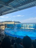 新江ノ島水族館に投稿された画像（2024/8/10）