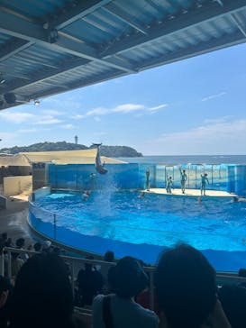 新江ノ島水族館に投稿された画像（2024/8/10）