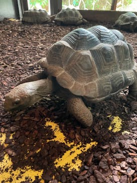 体感型動物園iZooに投稿された画像（2024/8/10）