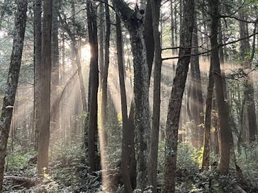 FUJI HAT（フジハット）に投稿された画像（2024/8/10）