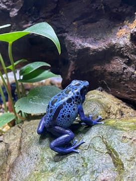 体感型動物園iZooに投稿された画像（2024/8/10）