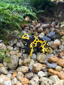 体感型動物園iZooに投稿された画像（2024/8/10）