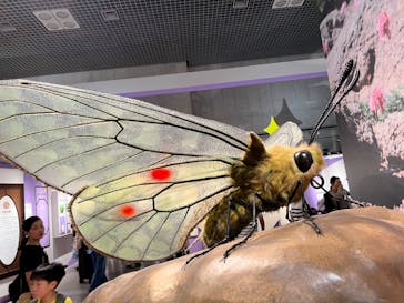 特別展「昆虫 MANIAC」（国立科学博物館）に投稿された画像（2024/8/10）