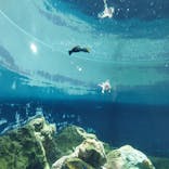 葛西臨海水族園に投稿された画像（2024/8/10）