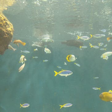 葛西臨海水族園に投稿された画像（2024/8/10）