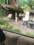恩賜上野動物園に投稿された画像（2024/8/10）