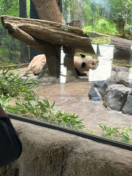 恩賜上野動物園に投稿された画像（2024/8/10）