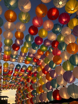 NESTA RESORT KOBE（ネスタリゾート神戸）に投稿された画像（2024/8/10）