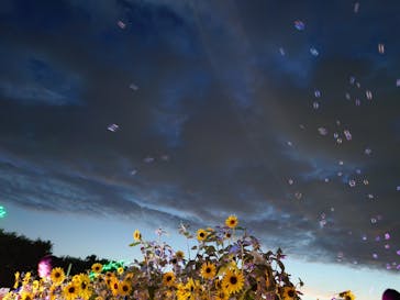 せんだい農業園芸センター　みどりの杜に投稿された画像（2024/8/10）