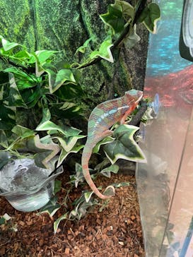 いきもの探検隊上尾に投稿された画像（2024/8/10）