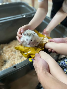 いきもの探検隊上尾に投稿された画像（2024/8/10）