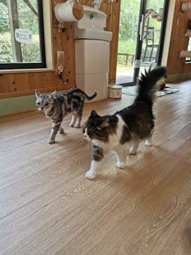 長崎バイオパークに投稿された画像（2024/8/10）