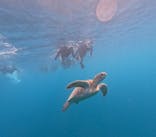  マリンショップHAPPYに投稿された画像（2024/8/10）