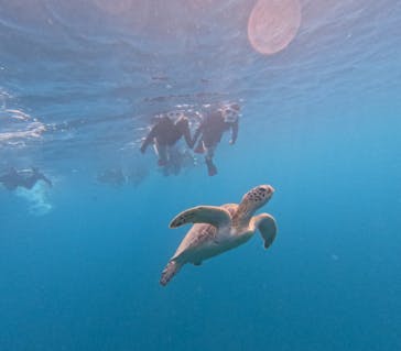  マリンショップHAPPYに投稿された画像（2024/8/10）