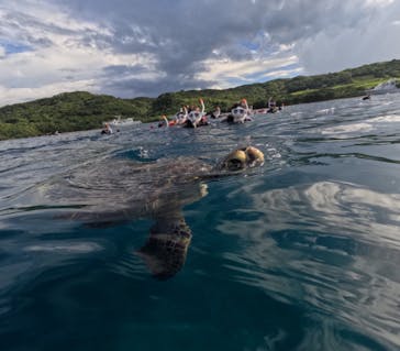  マリンショップHAPPYに投稿された画像（2024/8/10）