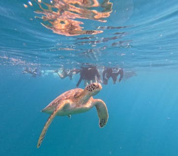  マリンショップHAPPYに投稿された画像（2024/8/10）