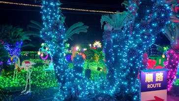 伊豆ぐらんぱる公園に投稿された画像（2024/8/10）