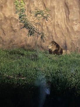 日立市かみね動物園に投稿された画像（2024/8/10）