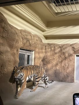 日立市かみね動物園に投稿された画像（2024/8/10）