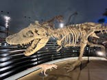 福井県立恐竜博物館に投稿された画像（2024/8/10）