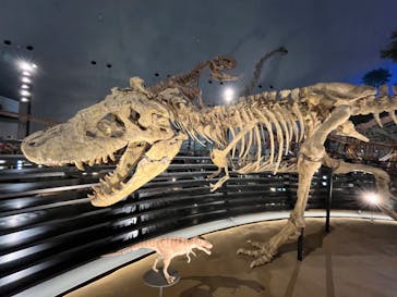 福井県立恐竜博物館に投稿された画像（2024/8/10）