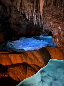 おきなわワールドに投稿された画像（2024/8/10）