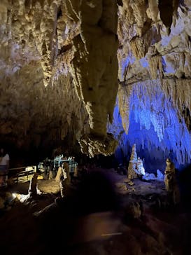 おきなわワールドに投稿された画像（2024/8/10）