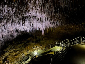 おきなわワールドに投稿された画像（2024/8/10）