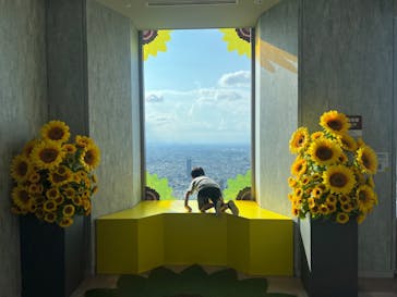 サンシャイン60展望台に投稿された画像（2024/8/10）