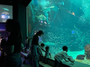 マリンワールド海の中道に投稿された画像（2024/8/10）