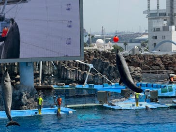 アソビュー！ポイントに投稿された画像（2024/8/10）