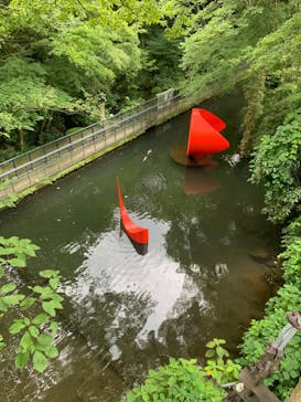 彫刻の森美術館に投稿された画像（2024/8/10）