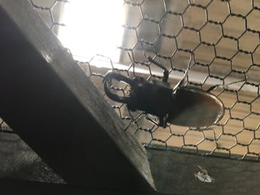 JOYPOLIS SPORTS（ジョイポリススポーツ） イオン仙台中山店に投稿された画像（2024/8/10）