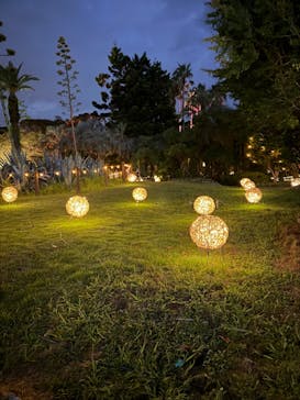 江の島シーキャンドルに投稿された画像（2024/8/10）