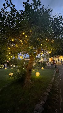 江の島シーキャンドルに投稿された画像（2024/8/10）