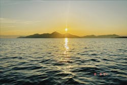 SIGNAL（シグナル） マイアミベースに投稿された画像（2024/8/10）