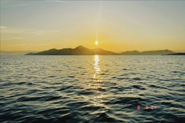 SIGNAL（シグナル） マイアミベースに投稿された画像（2024/8/10）