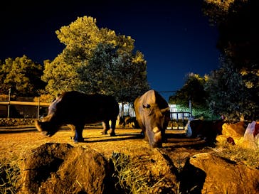 姫路セントラルパークに投稿された画像（2024/8/10）