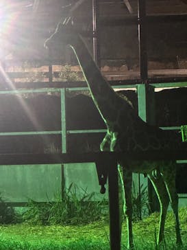 日立市かみね動物園に投稿された画像（2024/8/10）