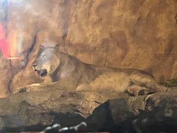 日立市かみね動物園に投稿された画像（2024/8/10）