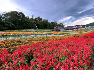 たんばらラベンダーパークに投稿された画像（2024/8/10）